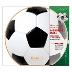 サッカーボール・・・ワールドカップ思い出します。