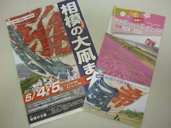 紙サイズ＆芝桜 011