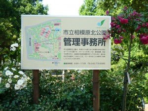 公園内の案内図が各所に設置されています。