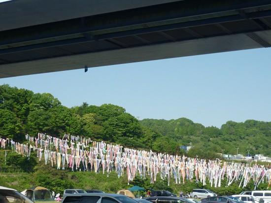 ３０日朝、河川敷に駐車してリベンジです