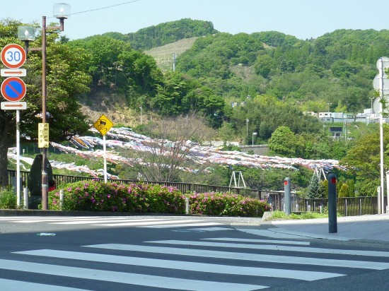 高田橋の交差点からすでに鯉のぼりが見えています