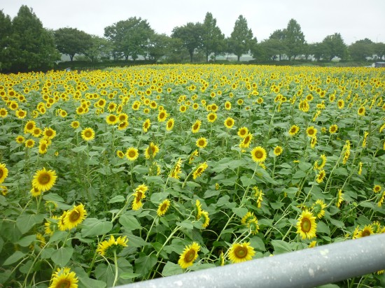 展望台からの眺め・・・自撮り向きです