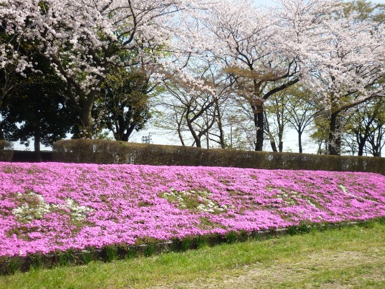 画像だと分かりにくいですが、白い字で「みなみく」と書かれています。